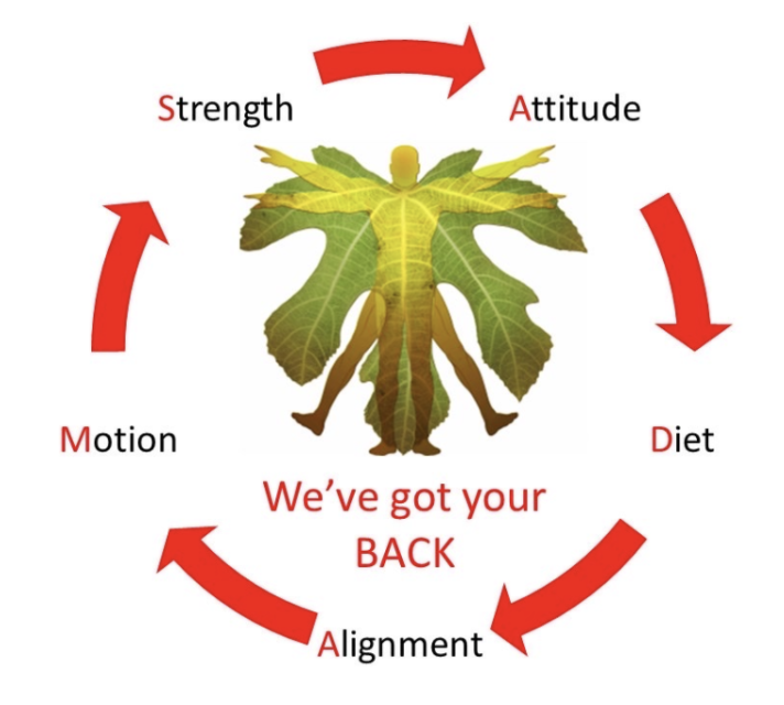 ADAMS: Attitude, Diet, Alignment, Motion, Strength